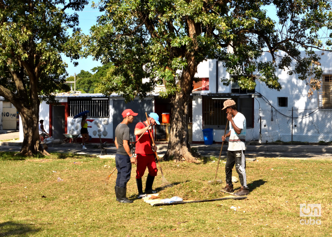 Hombres trabajan en el chapeo del parque de Avenida 31 y 114, en el municipio habanero de Marianao. Foto: Otmaro Rodríguez.