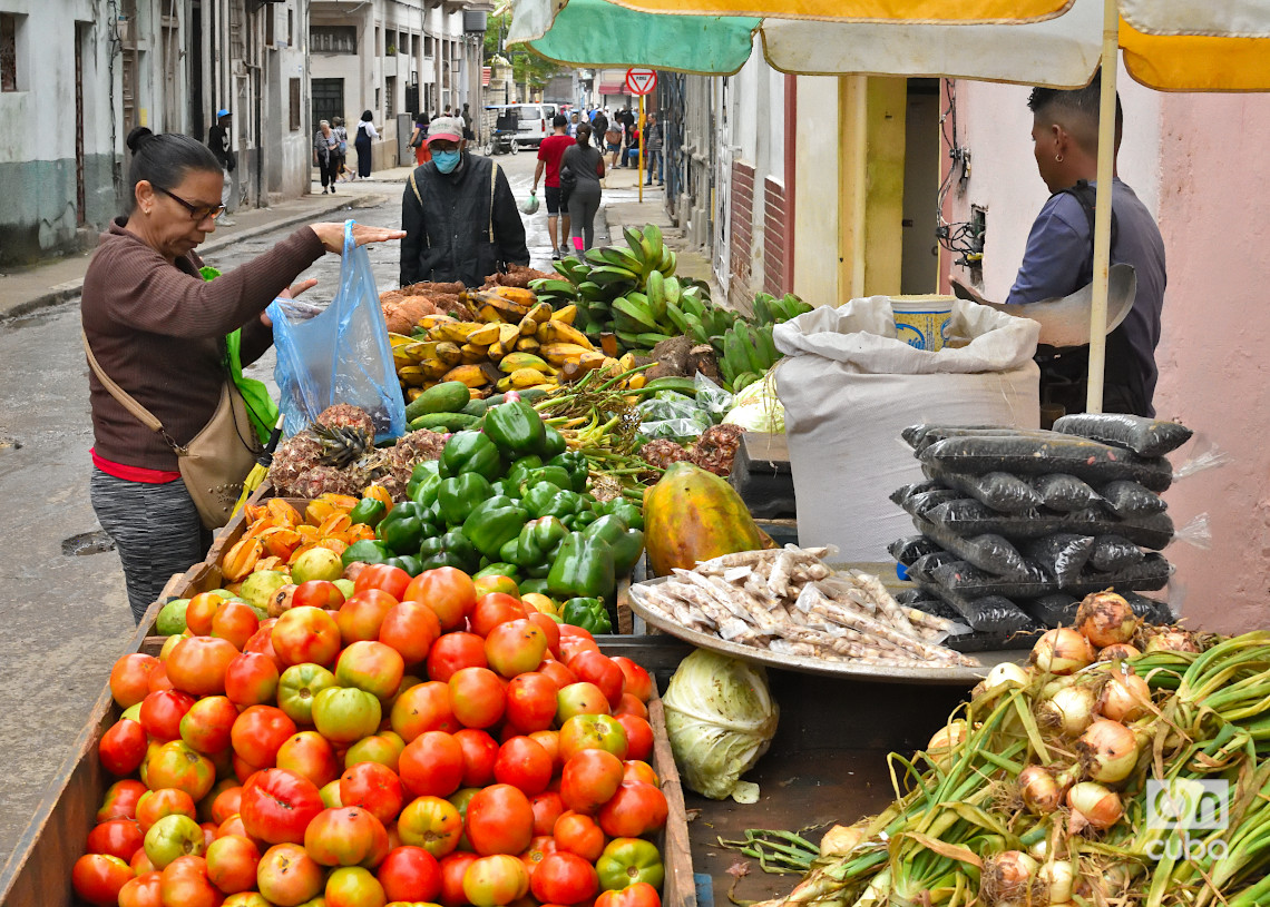 Vendedor de productos agrícolas en La Habana, durante un frente frío. Foto: Otmaro Rodríguez.