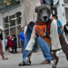 Perro protegido con ropa para el frío en La Habana. Foto: Otmaro Rodríguez.