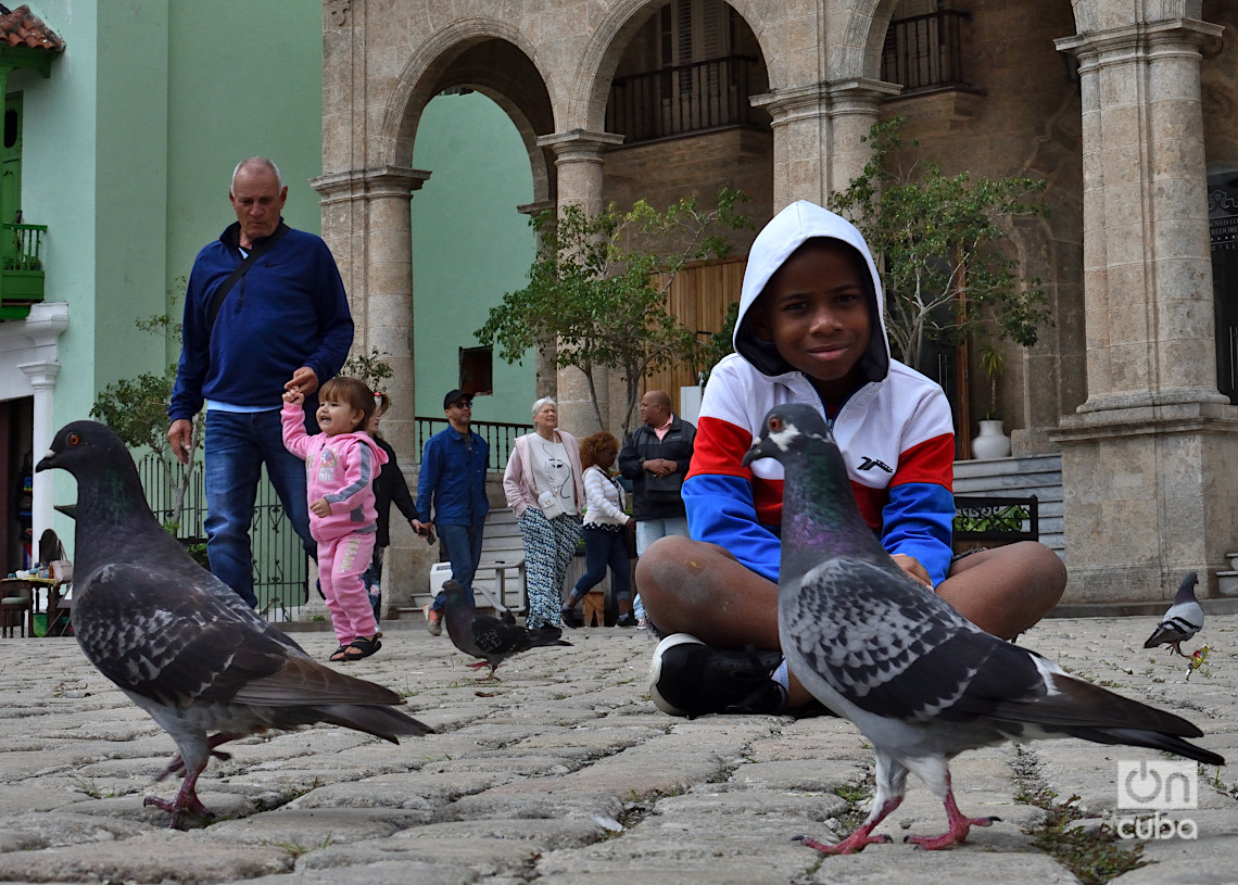 Un niño junto a las palomas en la plaza de San Francisco de Asís, en La Habana, durante un frente frío. Foto: Otmaro Rodríguez.