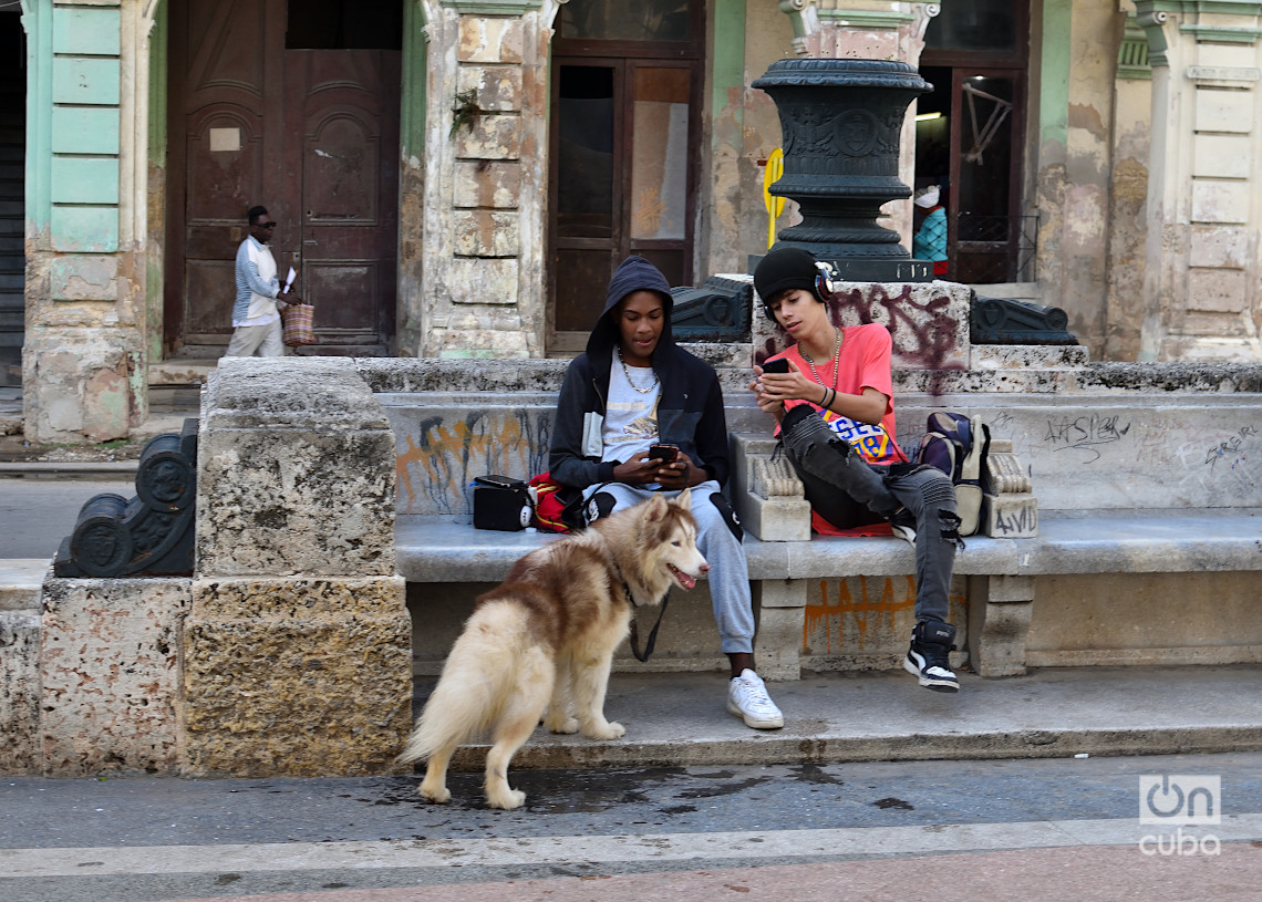 Dos jóvenes con su perro en el Paseo del Prado de La Habana durante un frente frío. Foto: Otmaro Rodríguez.