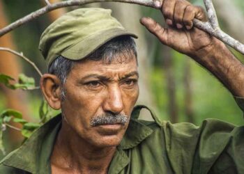 Enrique Pérez Rojas, carbonero manatiense que aprendió la labor a los nueve años de manos de su abuelo. Foto: Periódico 26