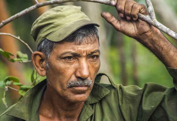 Enrique Pérez Rojas, carbonero manatiense que aprendió la labor a los nueve años de manos de su abuelo. Foto: Periódico 26