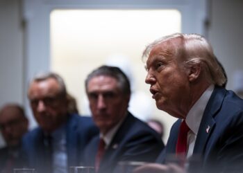 El presidente de Estados Unidos, Donald Trump, habla durante una reunión de gabinete en la Casa Blanca, en Washington, DC,, el 26 de febrero de 2025. EFE/EPA/AL DRAGO / POOL