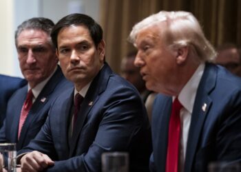 Marco Rubio atento a las palabras de  Trump durante la reunión de gabinete, el 26 de febrero. Foto: AL DRAGO/ EFE/EPA/POOL.