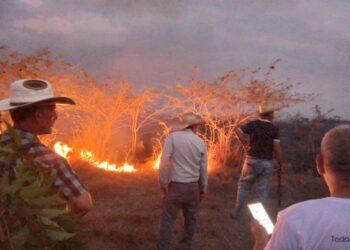 Incendio pone en peligro parque solar fotovoltaico en el munucipio de La Sierpe, en Sancti Spíritus. Foto: Escambray.