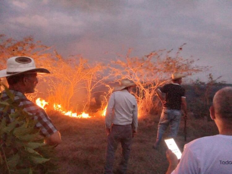 Incendio pone en peligro parque solar fotovoltaico en el munucipio de La Sierpe, en Sancti Spíritus. Foto: Escambray.