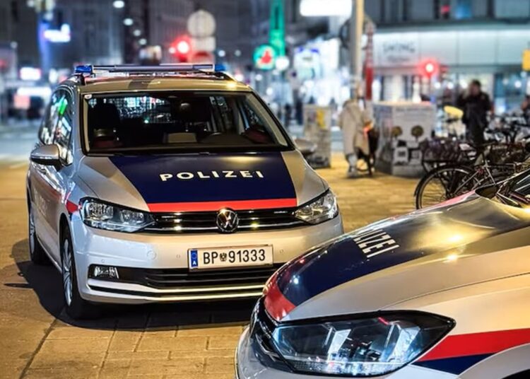 Autos de la policía de Austria. Foto: Tomada del Instagram de la institución.