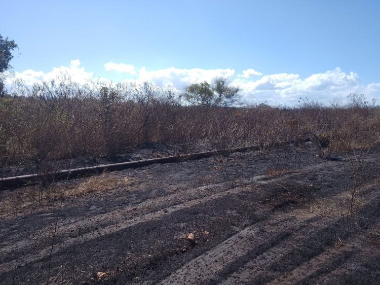 Se produjo en un área por la cual pasa un oleoducto proveniente de Boca de Camarioca. Foto: Pedro Rizo Martinez/Facebook