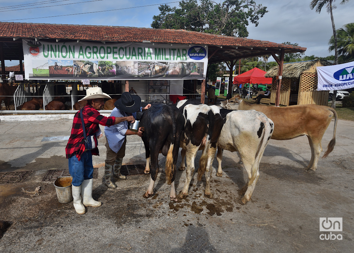 Edición 26 de la Feria Internacional Agroindustrial Alimentaria FIAGROP 2025, en La Habana. Foto: Otmaro Rodríguez.