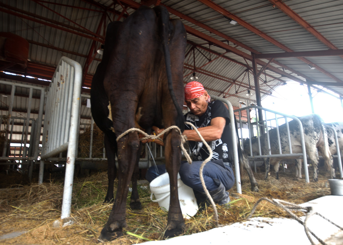 Edición 26 de la Feria Internacional Agroindustrial Alimentaria FIAGROP 2025, en La Habana. Foto: Otmaro Rodríguez.