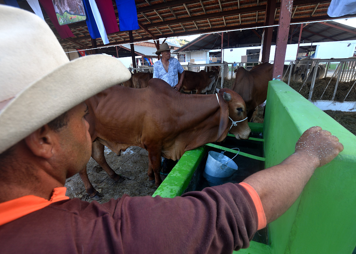 Edición 26 de la Feria Internacional Agroindustrial Alimentaria FIAGROP 2025, en La Habana. Foto: Otmaro Rodríguez.