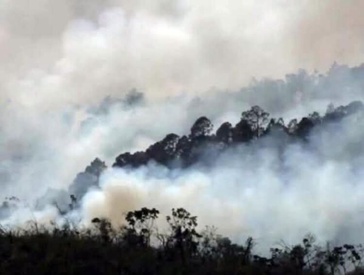 Incendio forestal en Pinar del Río. Foto: Tomada de las redes sociales.