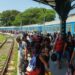 Trenes nacionales en Cuba. Foto: Naturaleza Secreta.