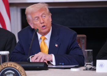 Donald Trump, hace declaraciones en la Cumbre de Activos Digitales (Criptomonedas) de la Casa Blanca en el Comedor de Estado de la Casa Blanca en Washington. Foto: AP/CHRIS KLEPONIS / POOL.