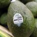 Aguacates de México en una tienda de comestibles en Palm Springs, California. Foto: John G Mabanglo/EFE.