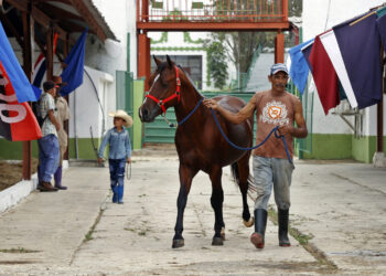 Un hombre camina con un caballo en la XXVI Feria Internacional Agroindustrial Alimentaria (Fiagrop) este lunes, en La Habana. Foto: EFE/ Ernesto Mastrascusa.