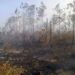 Área afectada por un incendio forestal en el municipio San Juan y Martínez, en Pinar del Río. Foto: Tomada del perfil de Facebook de Radio Guamá.