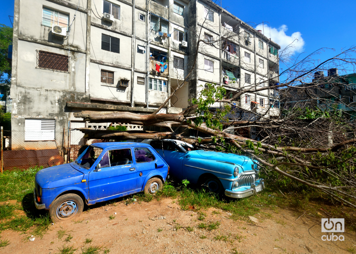 Árbol caído sobre el techo de un auto de fabricación norteamericana, en Cojímar. Foto: Otmaro Rodríguez.