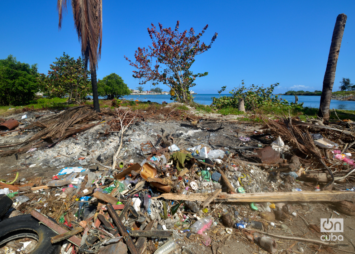 Basura en la playa de Cojímar. Foto: Otmaro Rodríguez.