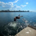 Un joven se lanza al mar haciendo piruetas desde el antiguo Muelle del Carbón, en Casablanca. En la distancia, La Habana. Foto: Otmaro Rodríguez.