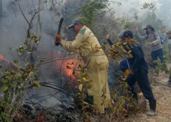 Cuerpo de Guardabosques sofocando un incendio forestal. Foto: Periódico Guerrillero.