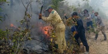 Cuerpo de Guardabosques sofocando un incendio forestal en Pinar del Río. Foto: Periódico Guerrillero / Archivo.
