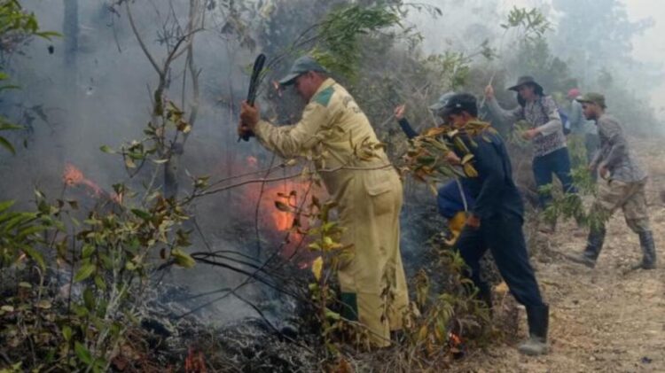 Cuerpo de Guardabosques sofocando un incendio forestal. Foto: Periódico Guerrillero.