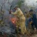 Cuerpo de Guardabosques sofocando un incendio forestal. Foto: Periódico Guerrillero.