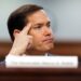 Marco Rubio