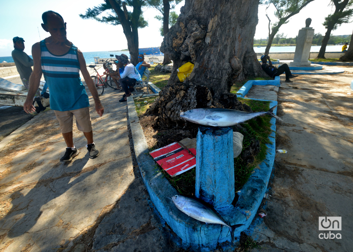 Venta de pescado en el parque de Cojímar. Foto: Otmaro Rodríguez.