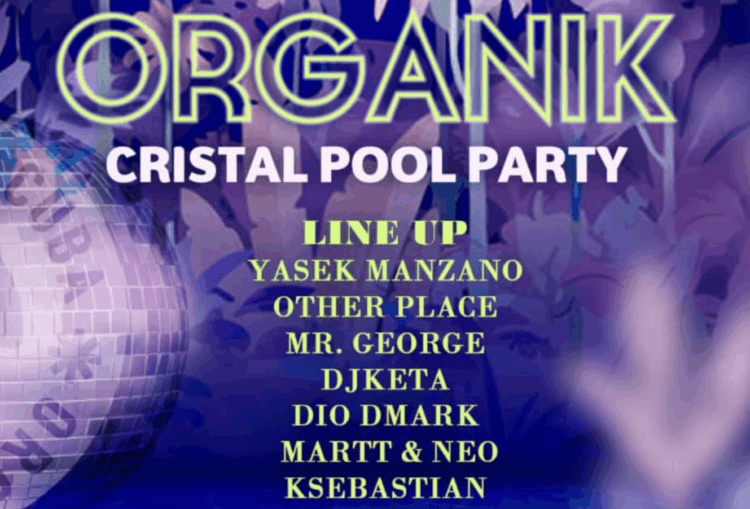 organik pool party 1