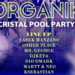organik pool party 1