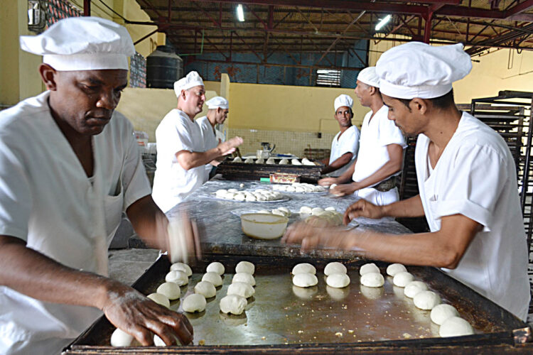 Foto: Eddy Martin/Trabajadores
