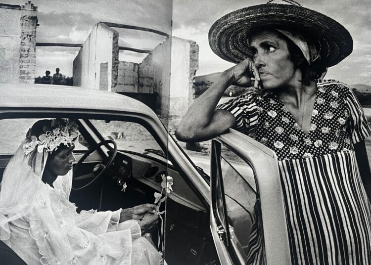 Páginas interiores del libro "Génesis", antología fotográfica del fotógrafo brasileño Sebastião Salgado. Foto: Kaloian.