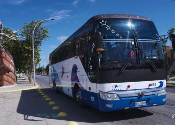 Un ómnibus de la empresa Viazul. Foto: Viazul.