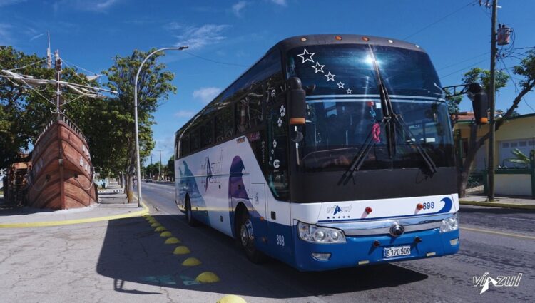 Un ómnibus de la empresa Viazul. Foto: Viazul.