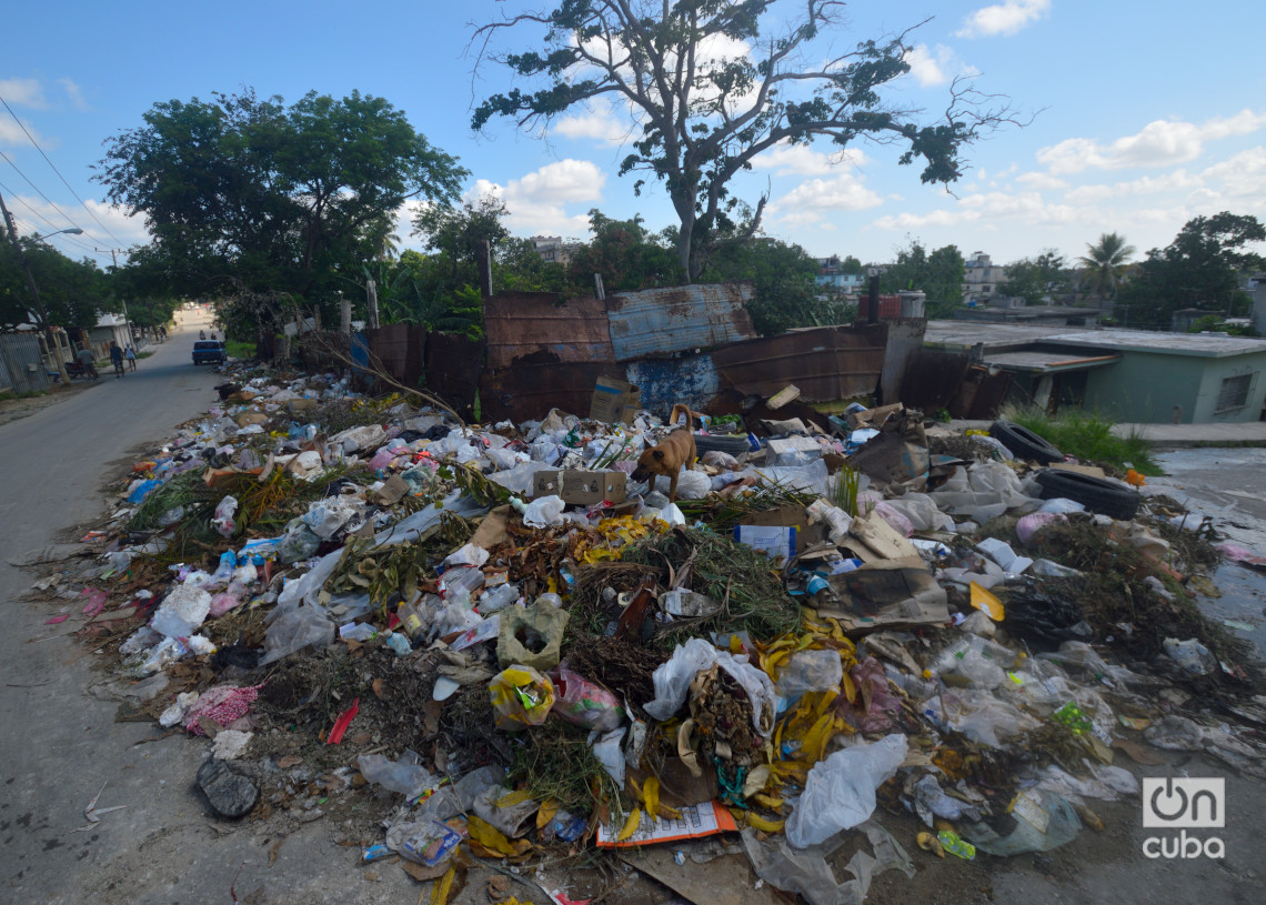 Acumulado de basura en Párraga. Foto: Otmaro Rodríguez.