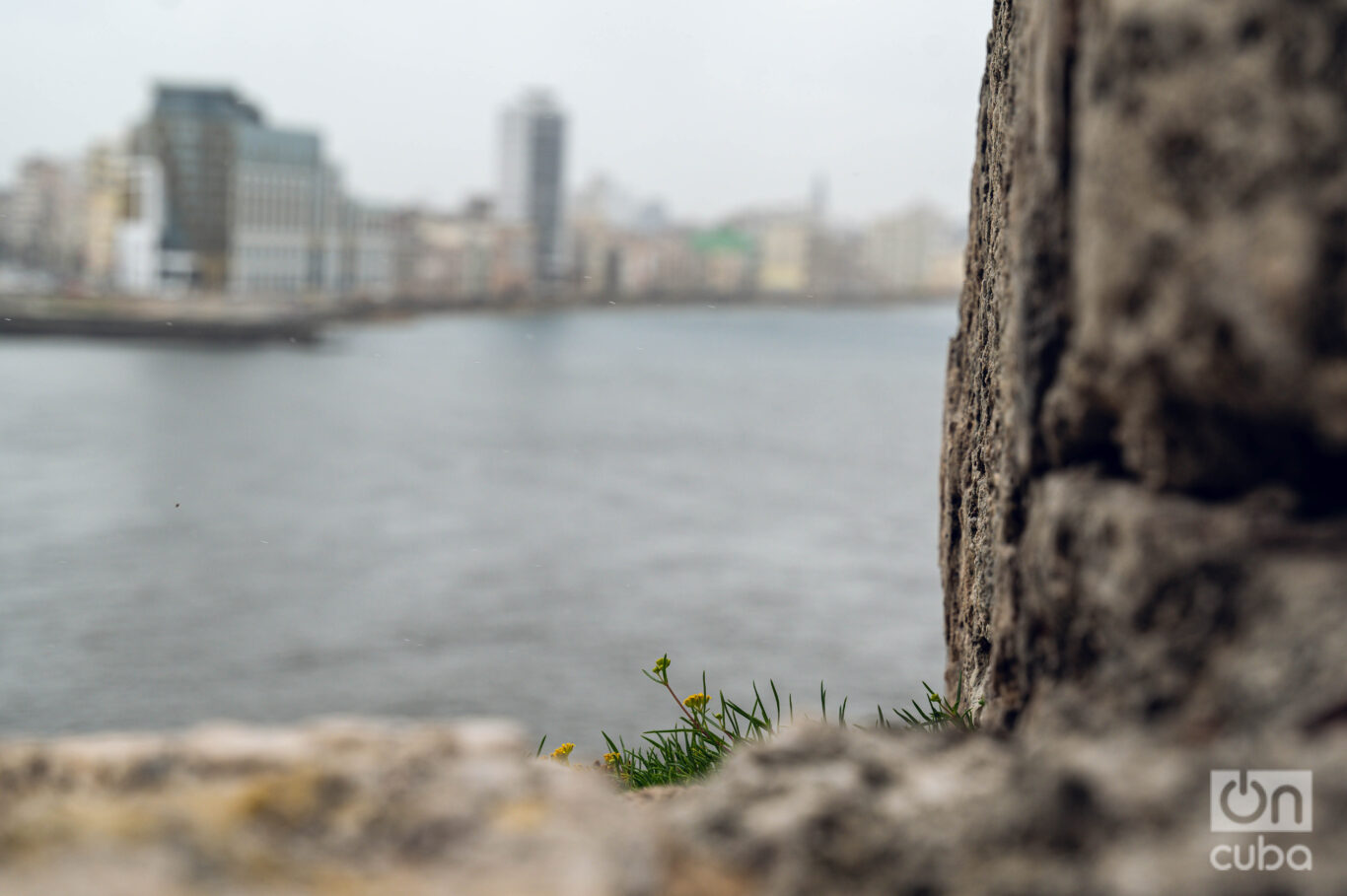 Photo: Kaloian.