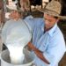 Los ganaderos luchan por sobrevivir en un entorno cada vez más hostil. Foto:  Rodolfo Blanco/Granma