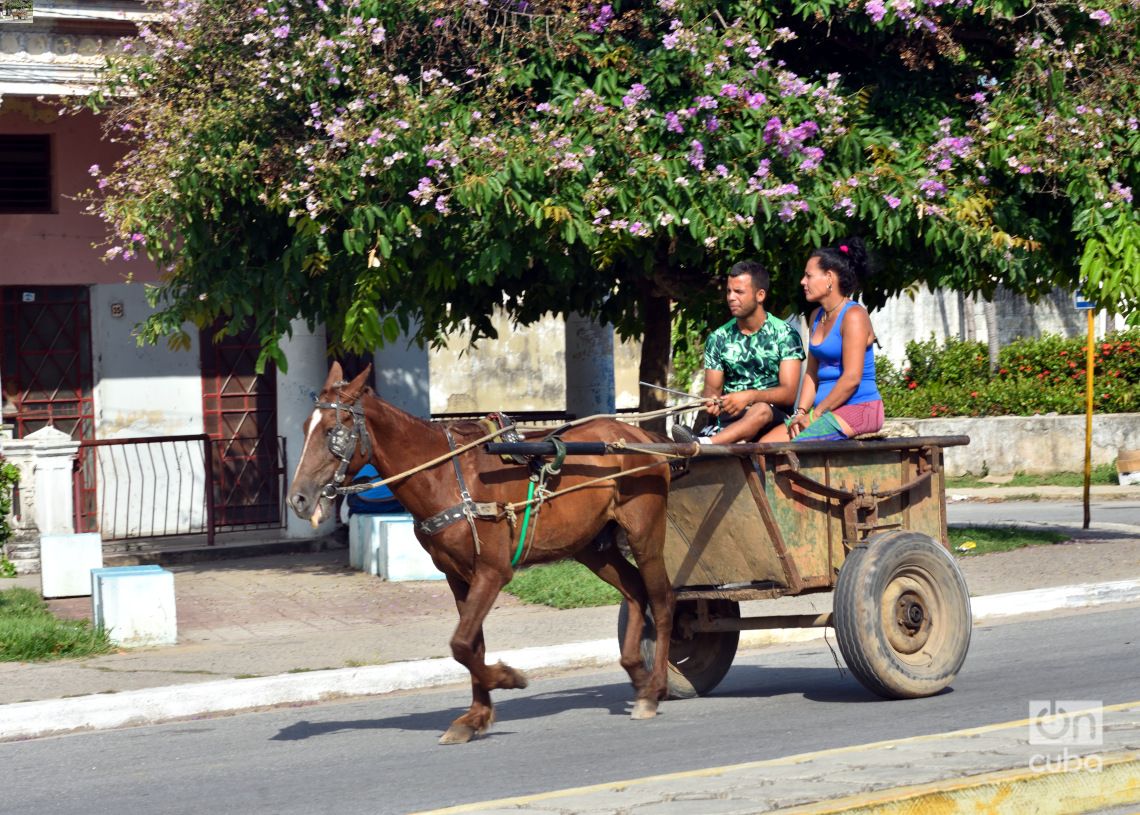 Pinar del Río, ciudad cabecera de la provincia cubana de igual nombre. Foto: Otmaro Rodríguez.