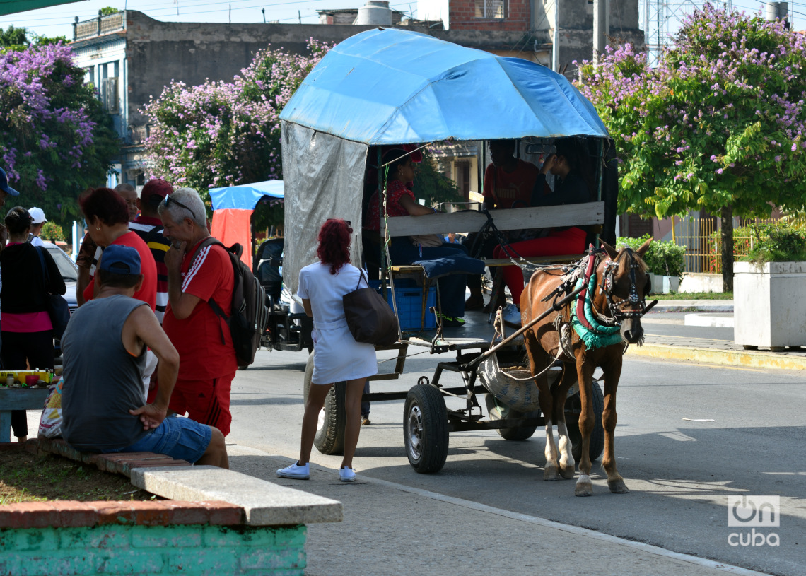 Pinar del Río, ciudad cabecera de la provincia cubana de igual nombre. Foto: Otmaro Rodríguez.