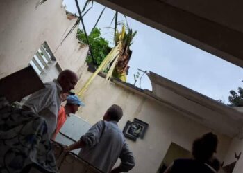 Una palma derriba el techo de una vivienda y deja un lensionado durante tormenta local en Mantua. Foto: Tomada de Facebook.