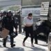 Mujer arrestada durante las protestas en Los Ángeles. Foto: ALLISON DINNER/EFE/EPA.
