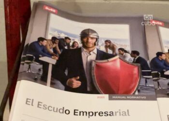 "El escudo empresarial" es el único resumen normativo que existe en Cuba diseñado para el sector no estatal. Foto: Lied Lorain.