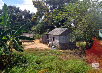 Vivienda campesina en Los Palacios, Pinar del Río. Foto: Otmaro Rodríguez.