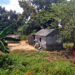Vivienda campesina en Los Palacios, Pinar del Río. Foto: Otmaro Rodríguez.
