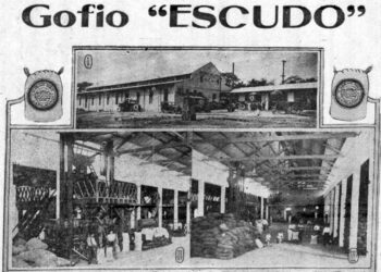 La marca de gofio Escudo durante décadas estuvo bien posicionada en el mercado cubano. Foto: Revista Islas Canarias.