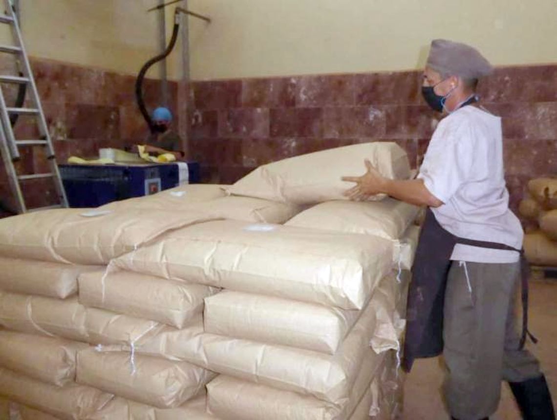 Según Granma, no solo la producción almacenaba fue a partir a manos privadas, sino también ha comenzado a hacerlo la sacada directamente de los cacaotales. Foto: José Llamos Camejo / Granma.