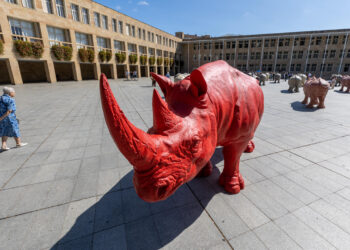 La plaza del Ayuntamiento de Logroño acoge la instalación artística del cubano Roberto Fabelo de una manada de rinocerontes. Foto: EFE/Raquel Manzanares.